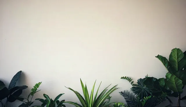 业务匹配中的市场调研检查要点解析